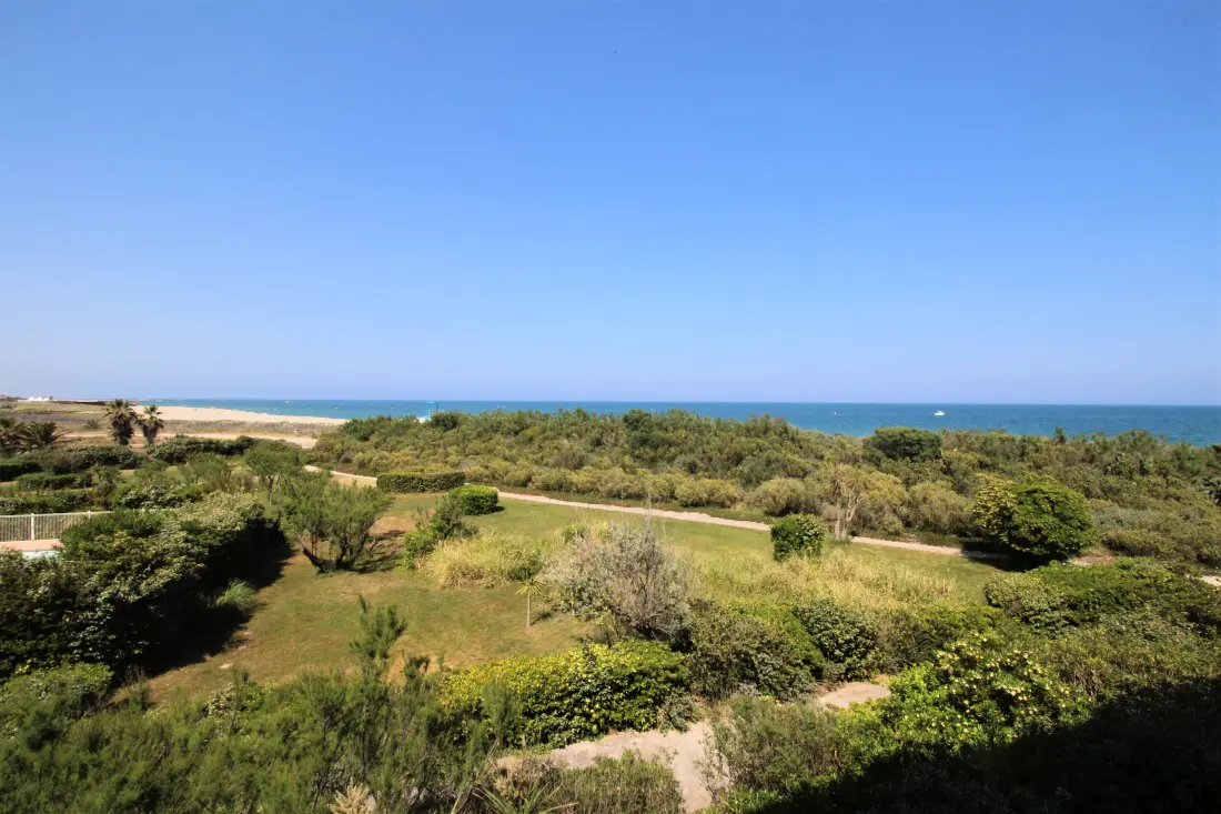 Appartements à Saint Cyprien - Pyrénées Orientales