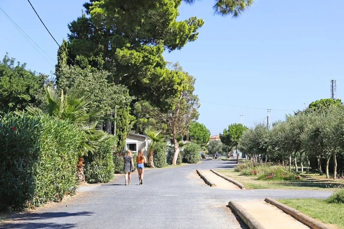Camping Le Bosc 41 étoiles★