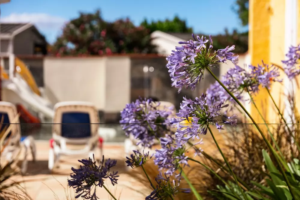 Chadotel Le Roussillon 4 étoiles★★★★