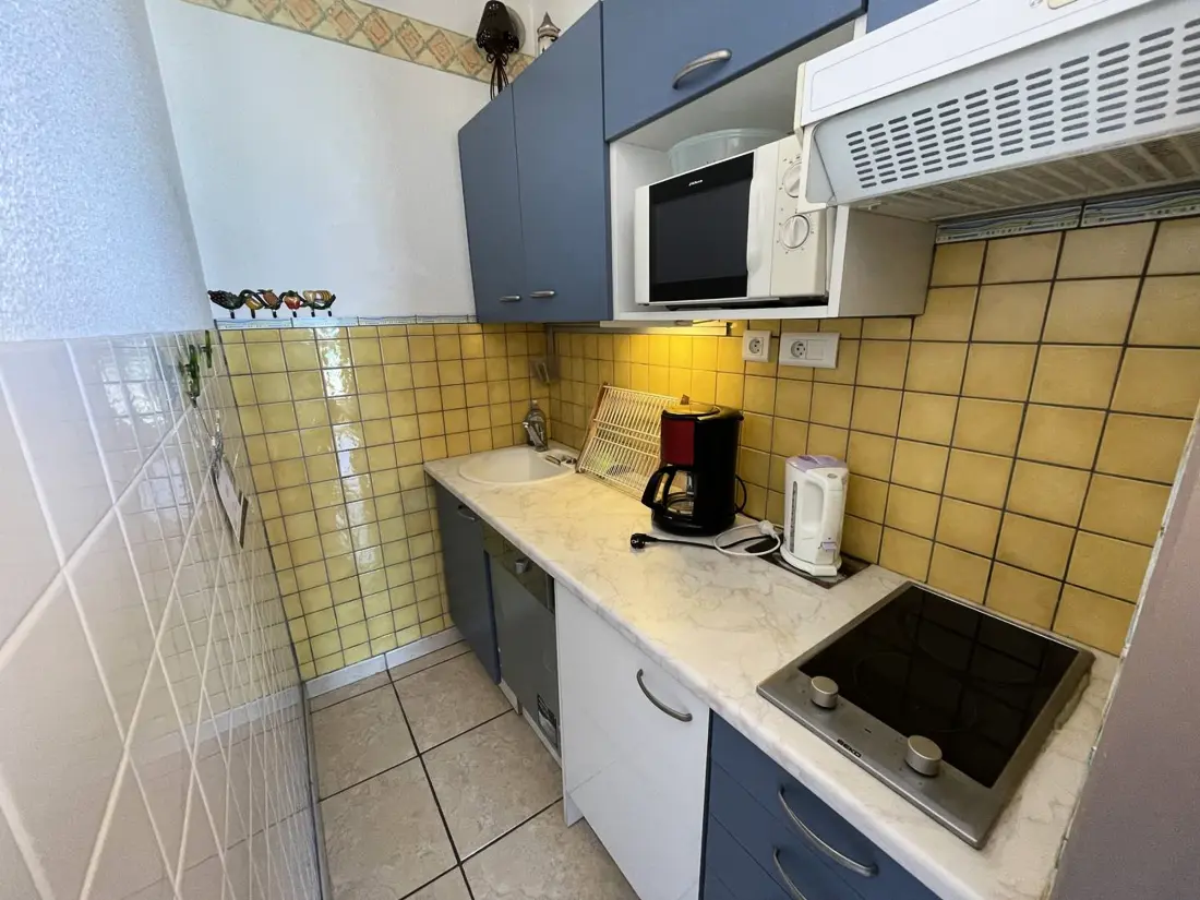 Location de Vacances Saint-Cyprien 265