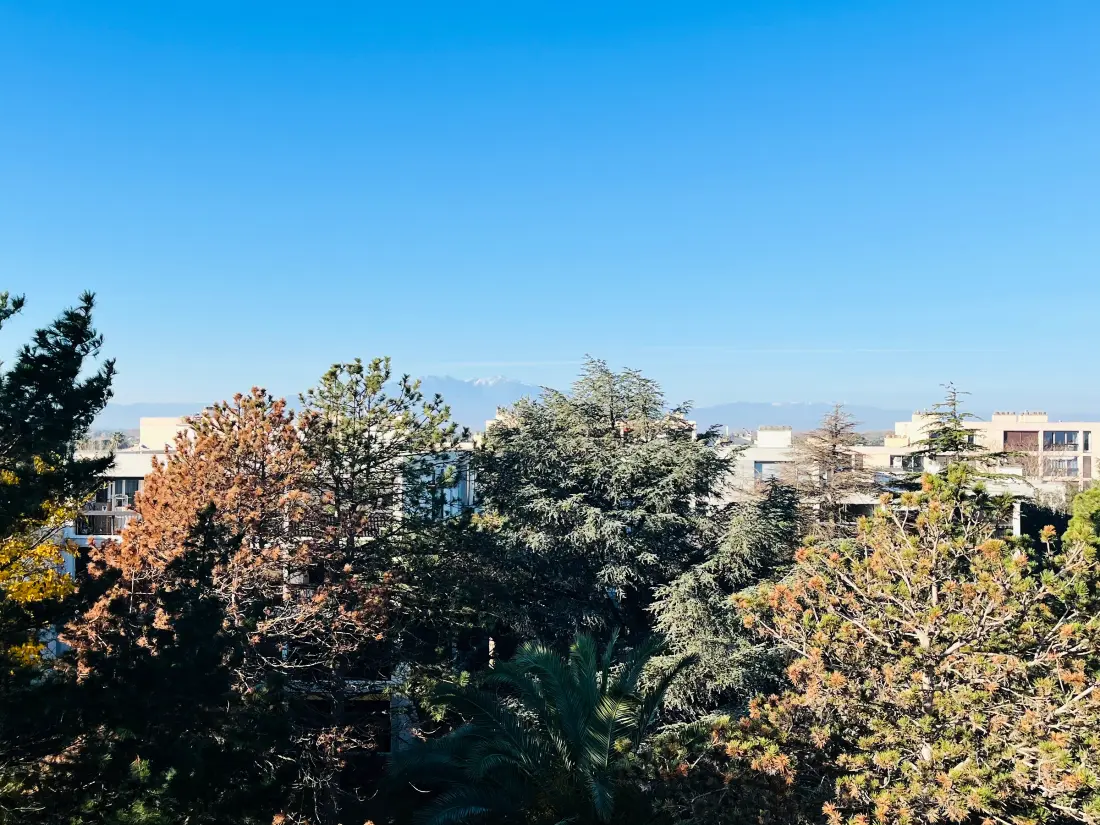 Location de Vacances Saint-Cyprien 312
