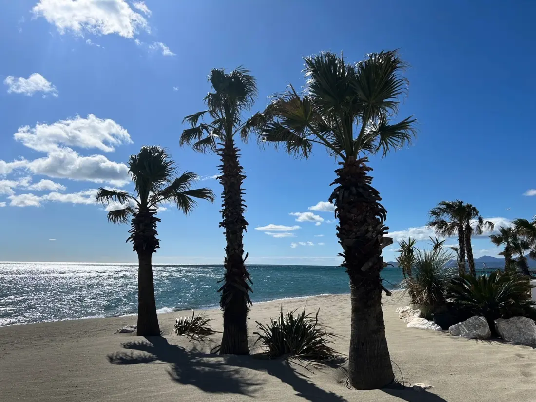 Location de Vacances Saint-Cyprien 355
