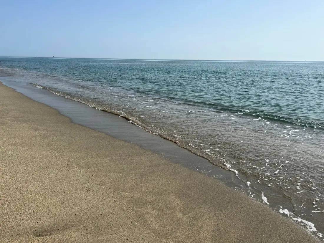 Location de Vacances Saint-Cyprien 368