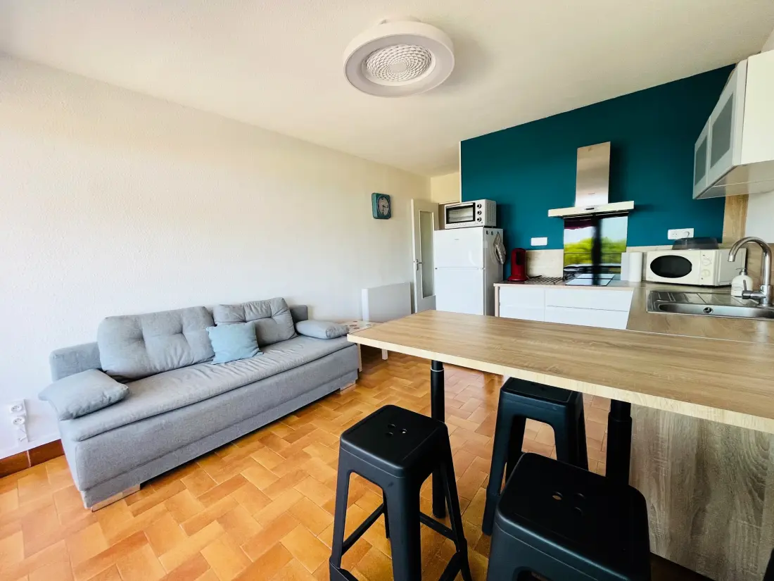 Location de Vacances Saint-Cyprien 389