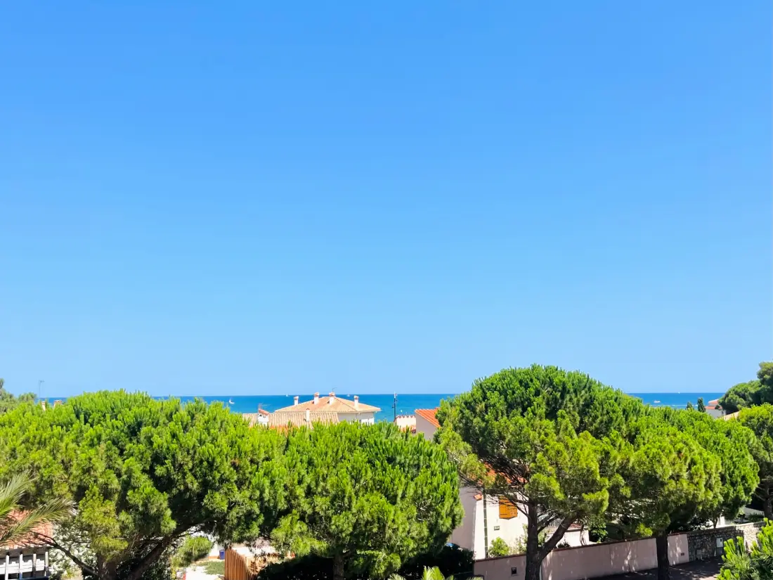 Location de Vacances Saint-Cyprien 389