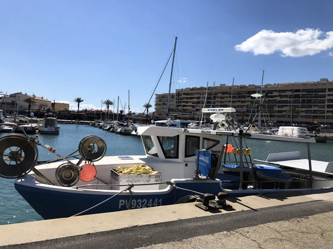 Maison de Vacances Saint-Cyprien 360