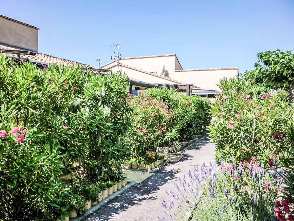 Maison de Vacances Saint Cyprien