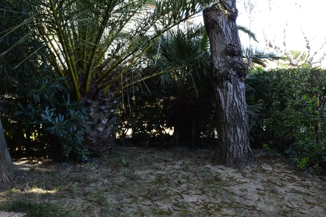 Résidence Hameau Du Rivage