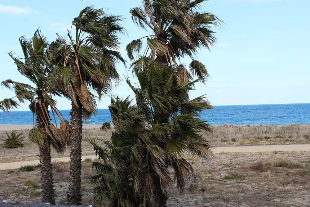 Résidence Lagune Et Mer