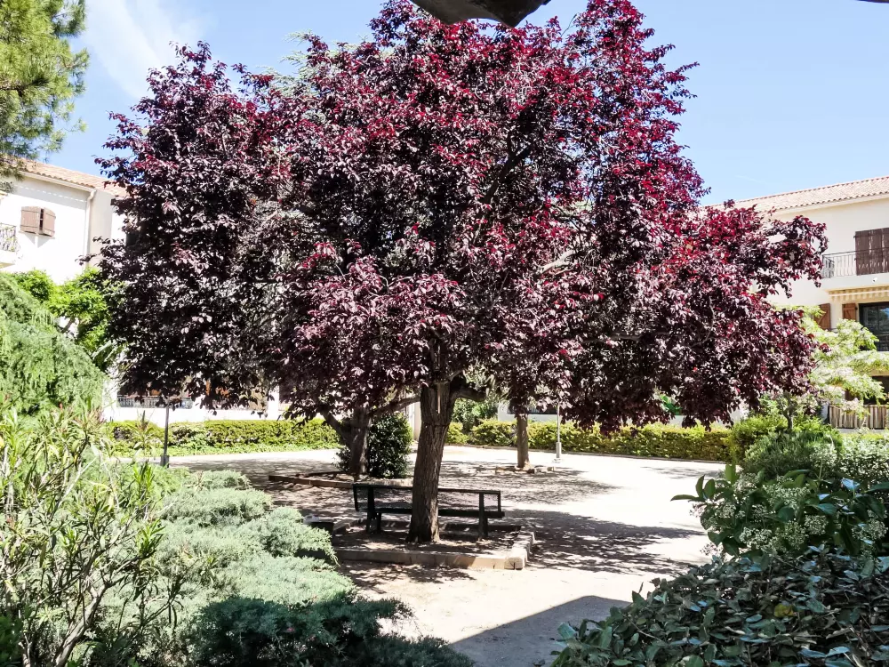 Résidence Le Village