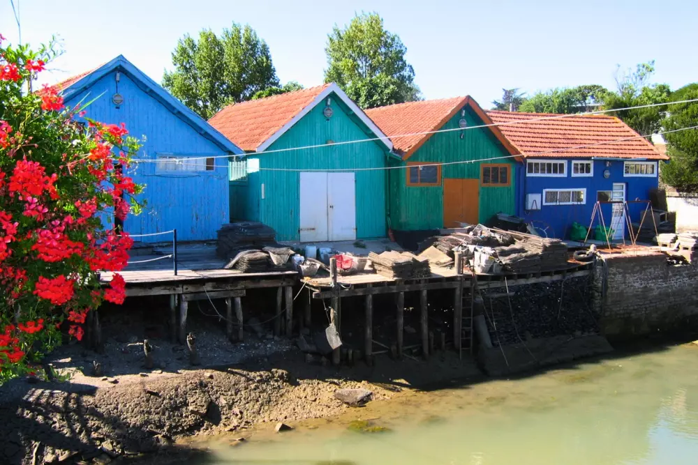 Camping Les Beaupins 31 étoiles★