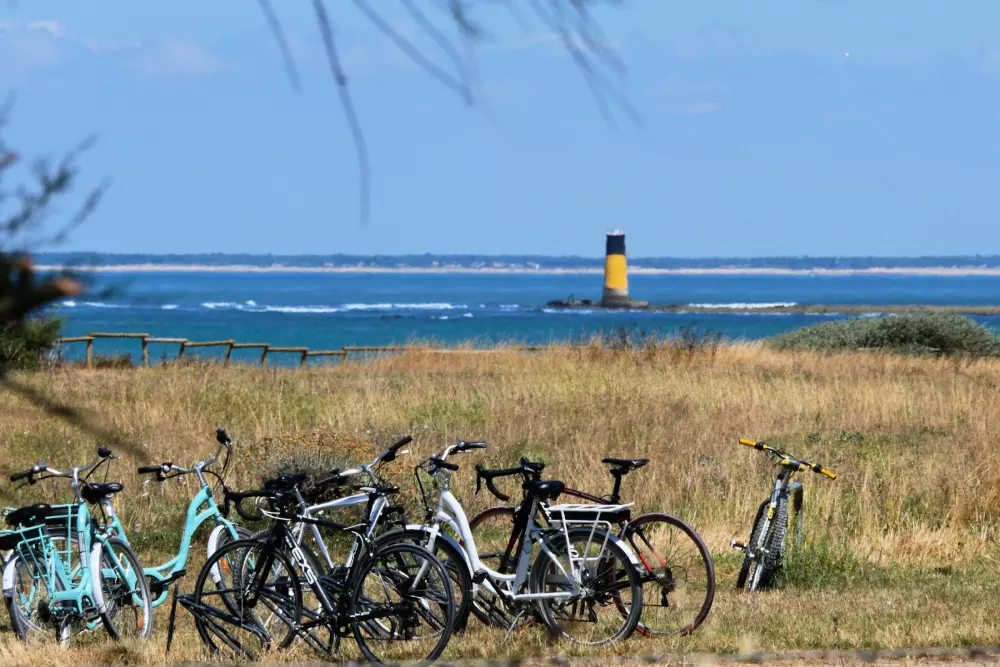 Camping Les Beaupins 31 étoiles★