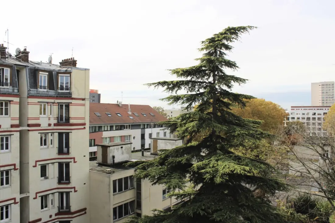 Lumineux Appartement Aux Portes De Paris