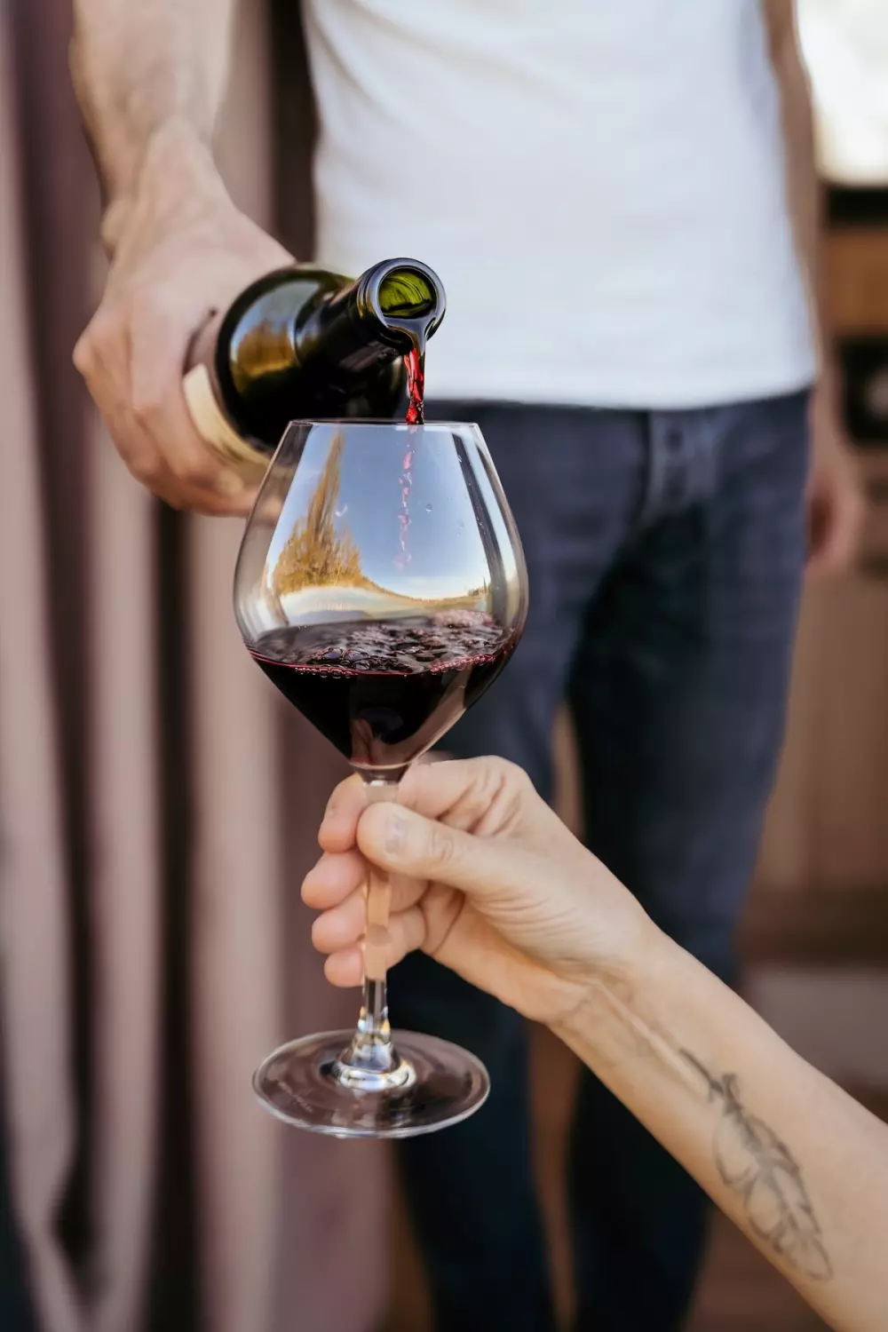 Château Champion - Parcel Tiny House