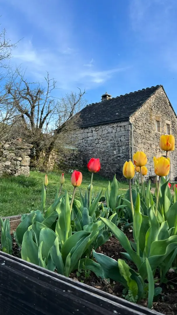 Gîte de France La maison caussenarde à la bazalgette 3 épis