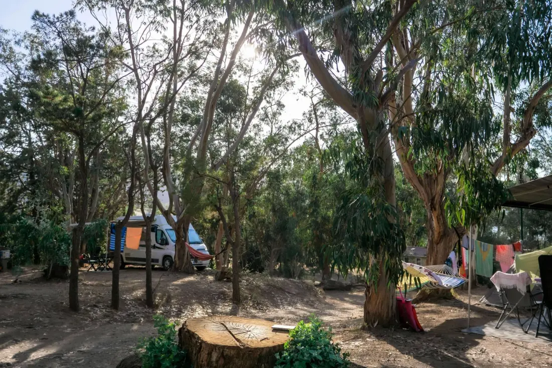 Camping U Pezzo2 étoiles★★