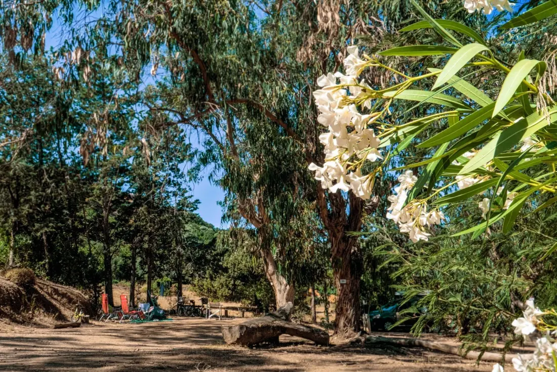 Camping U Pezzo2 étoiles★★