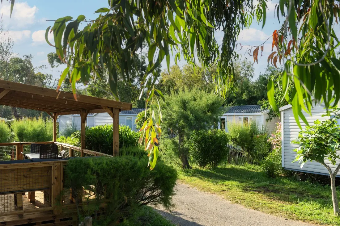 Camping Kalliste