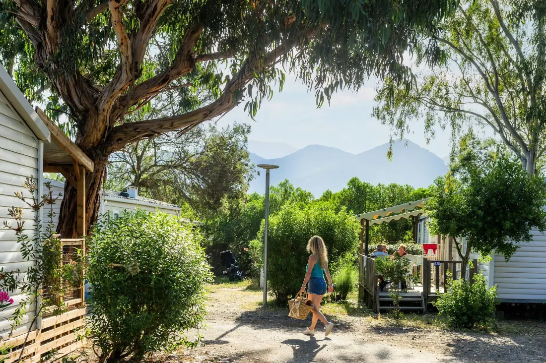 Camping Kalliste