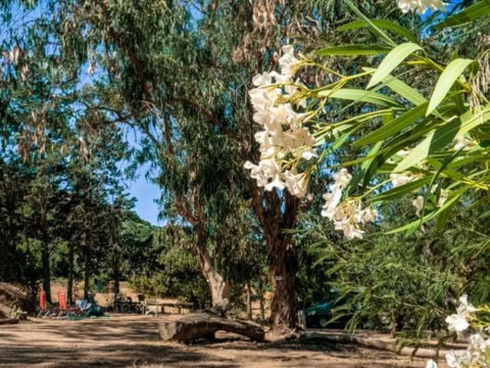 Camping U Pezzo 2 étoiles★★