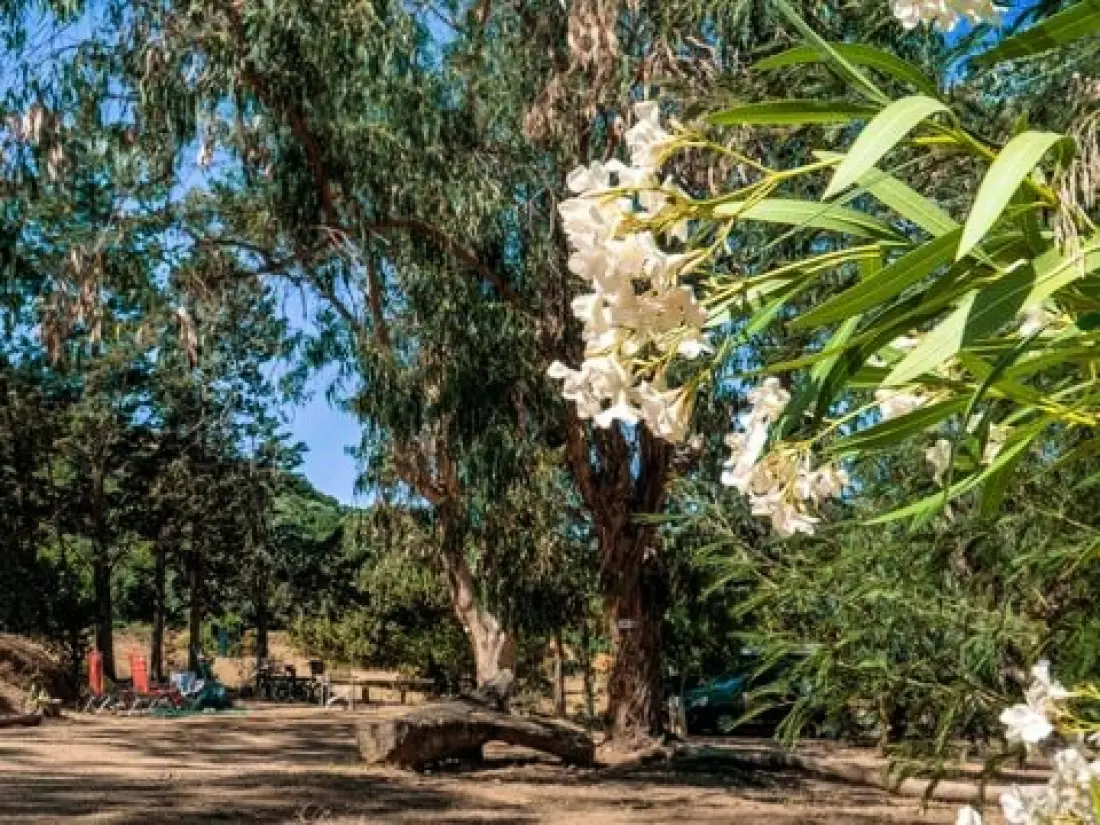 Camping U Pezzo 2 étoiles★★