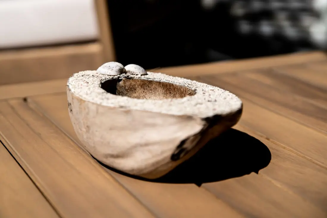 Appartement Rêve D'outre Mer
