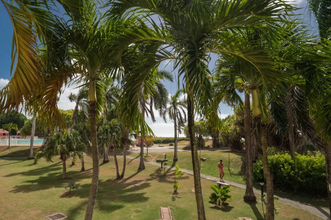 Appartement Rêve D'outre Mer
