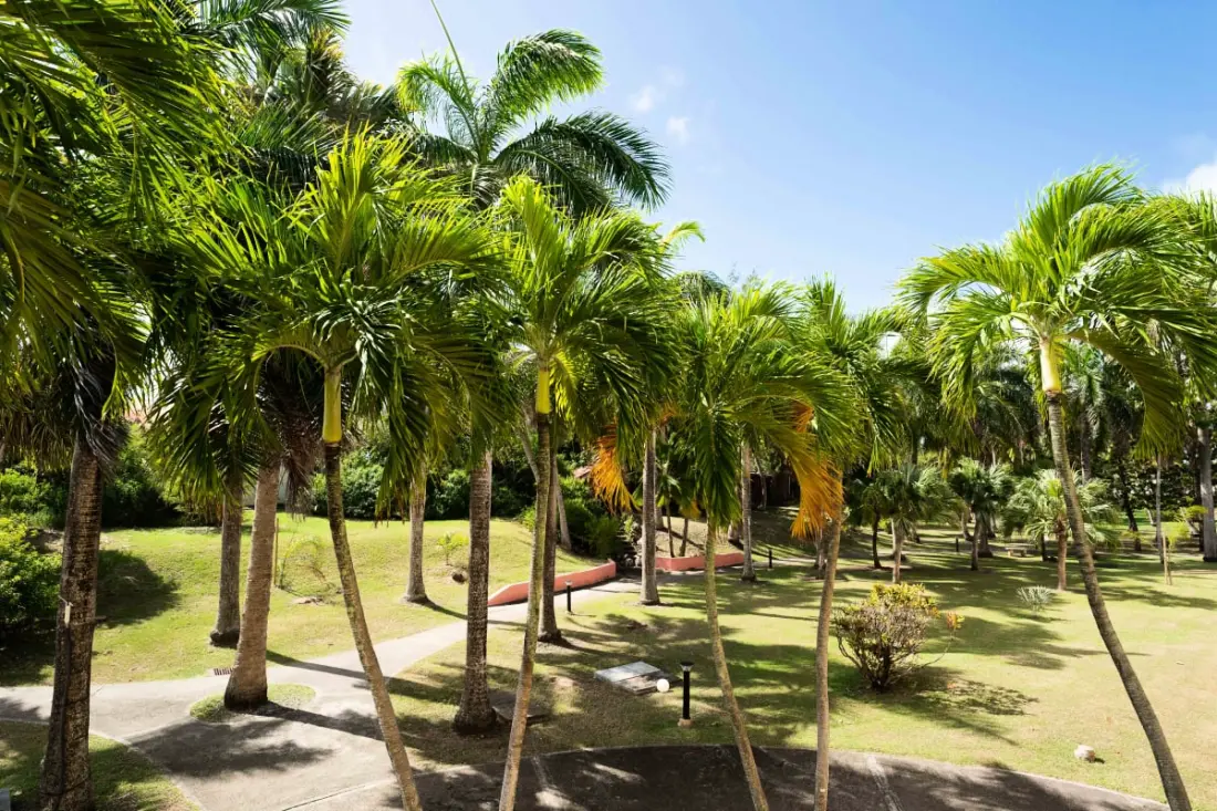 Appartement Rêve D'outre Mer