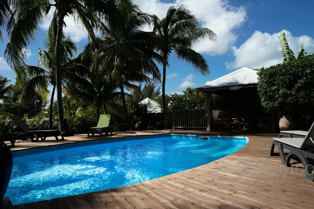 Bungalow Palm