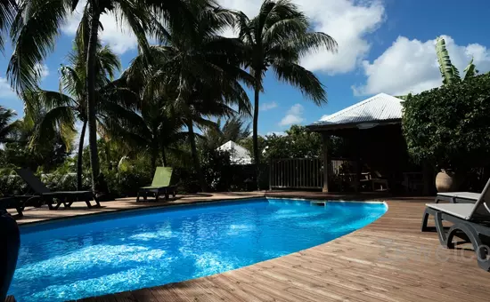 Bungalow Palm