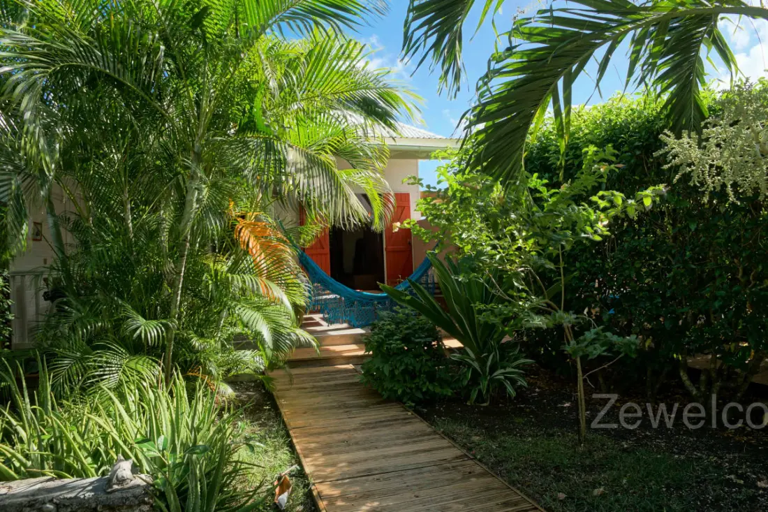 Bungalow Palm