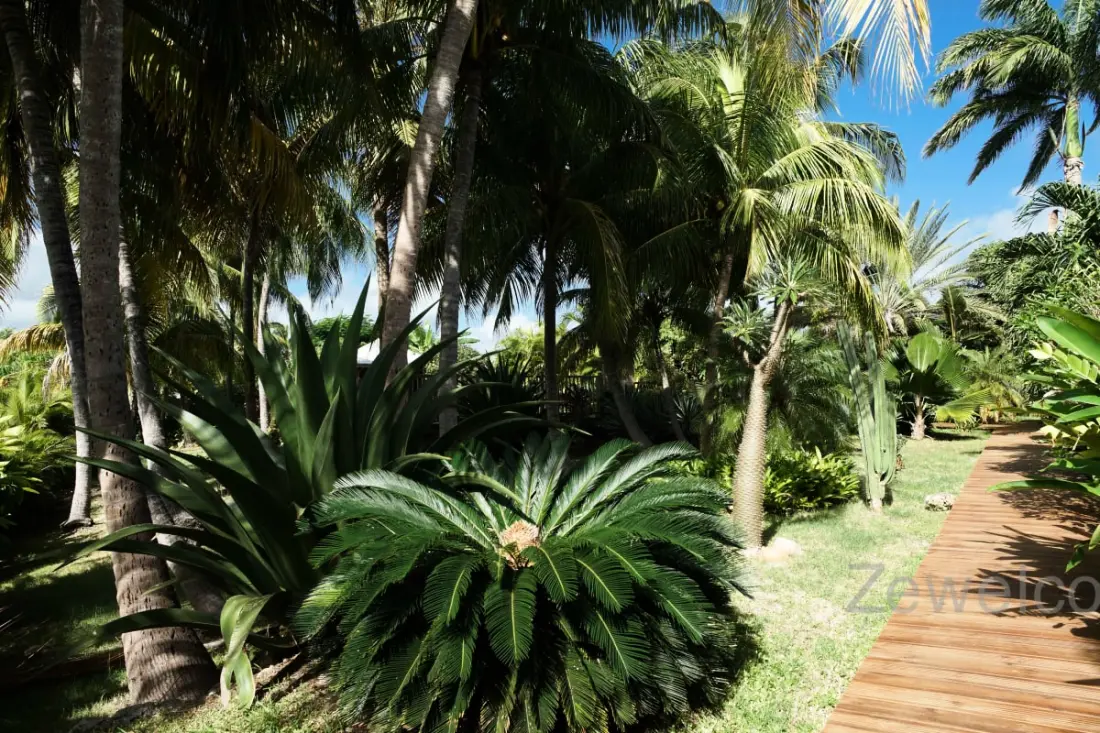 Bungalow Pitaya