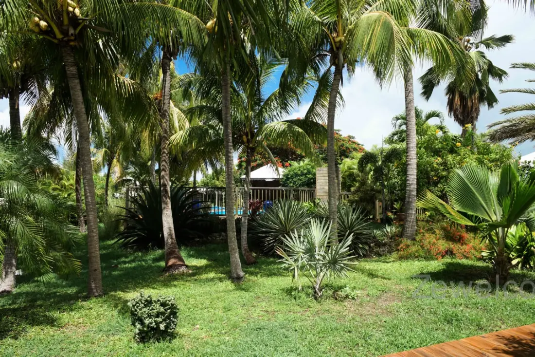Bungalow Pitaya