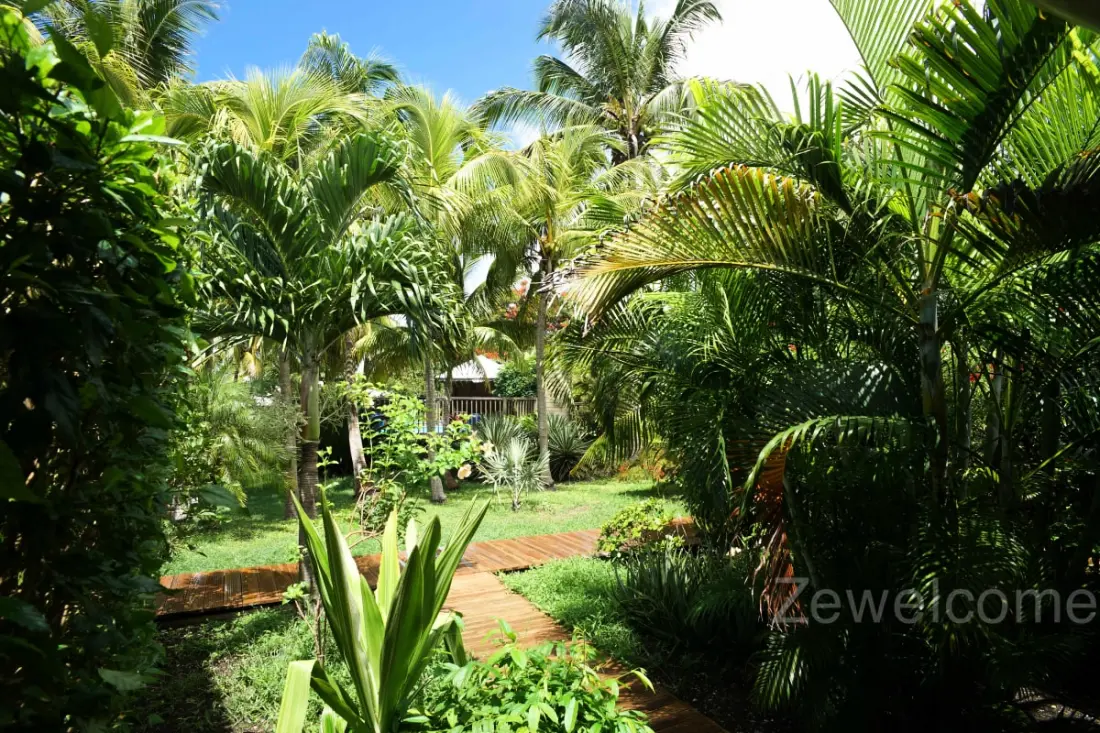 Bungalow Pitaya