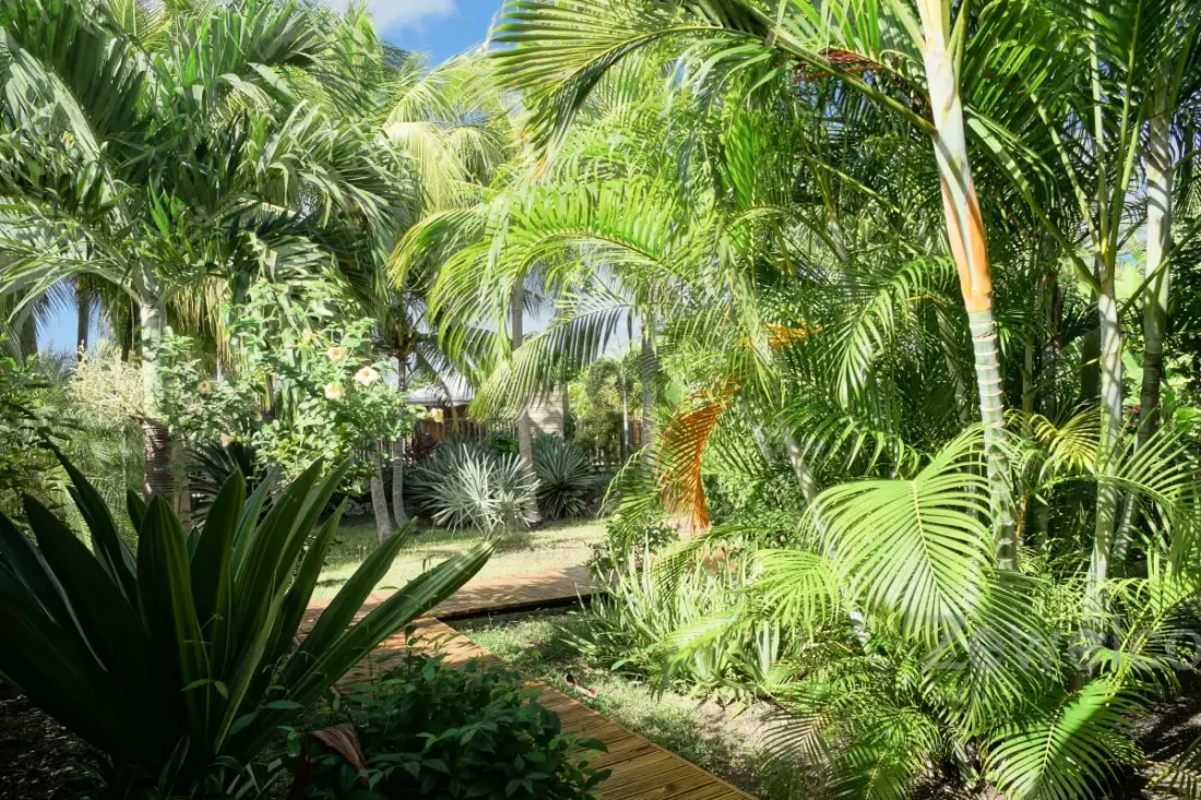Bungalow Pitaya