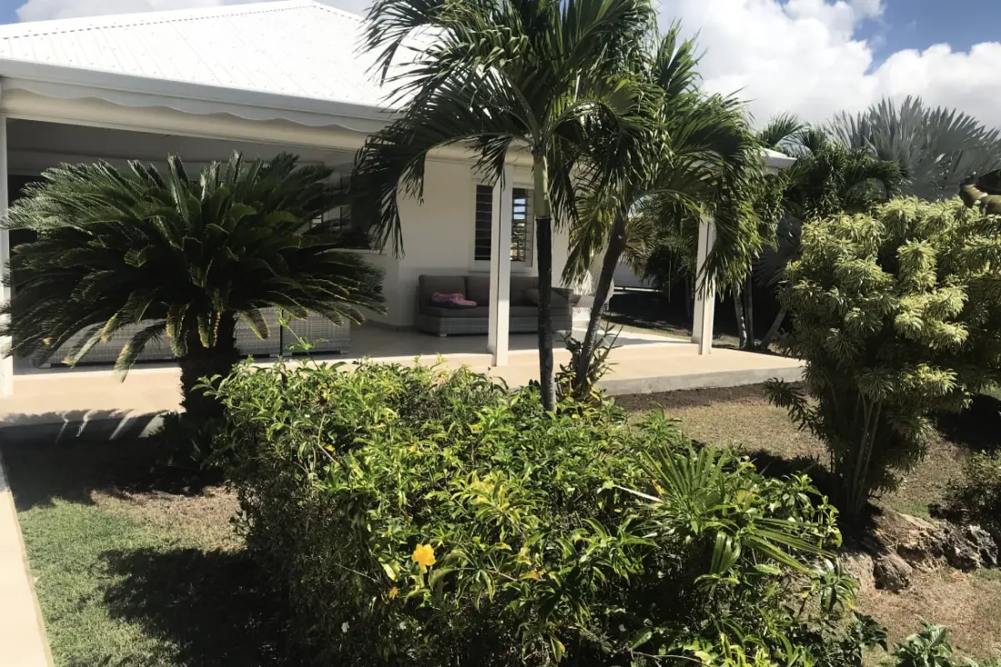 Villa Arbre Du Voyageur