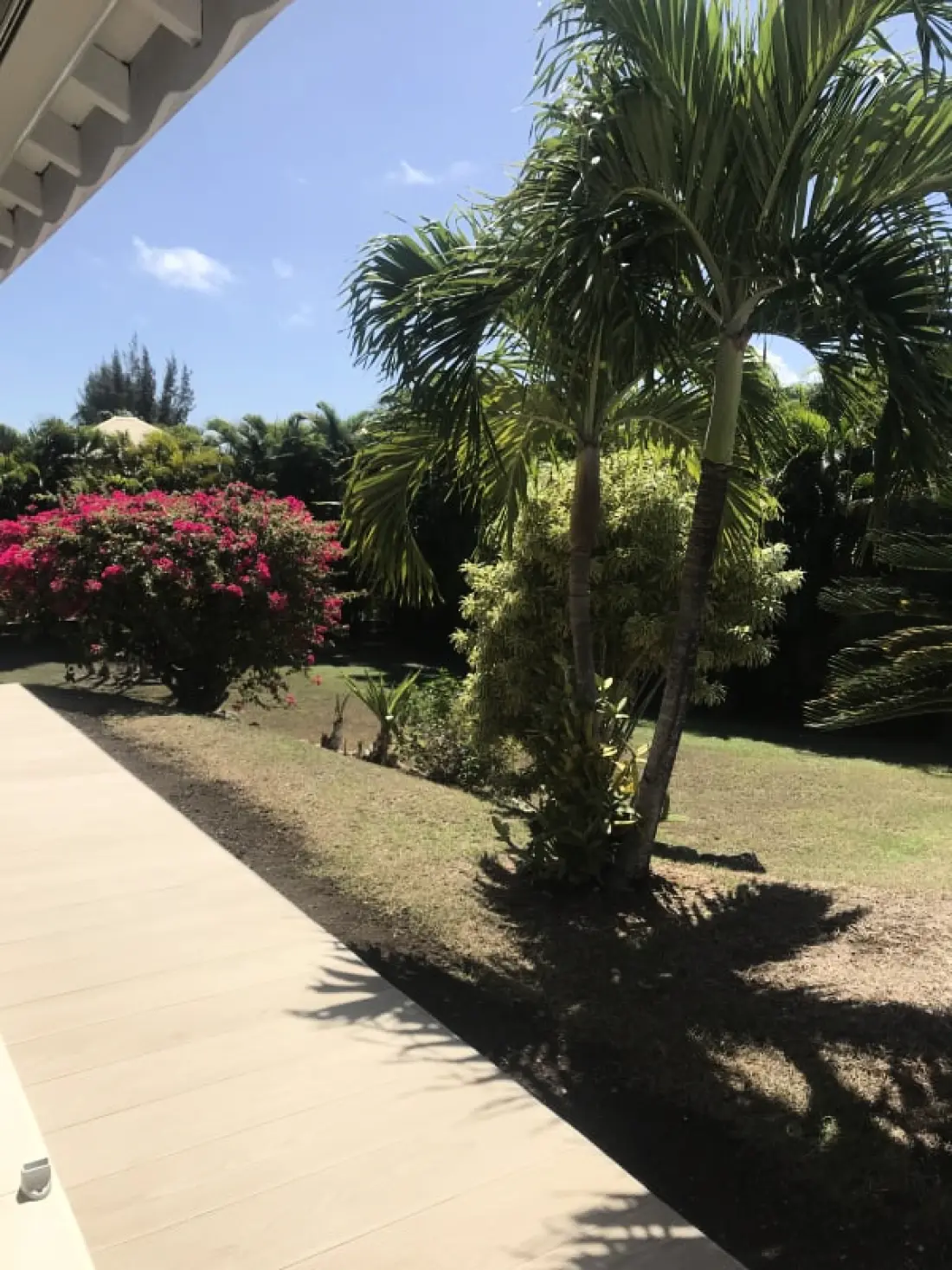 Villa Arbre Du Voyageur
