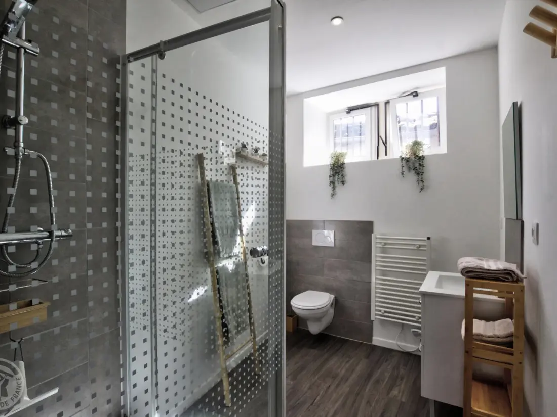 Location de Vacances Saint-Galmier