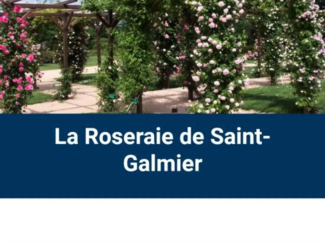Location de Vacances Saint-Galmier