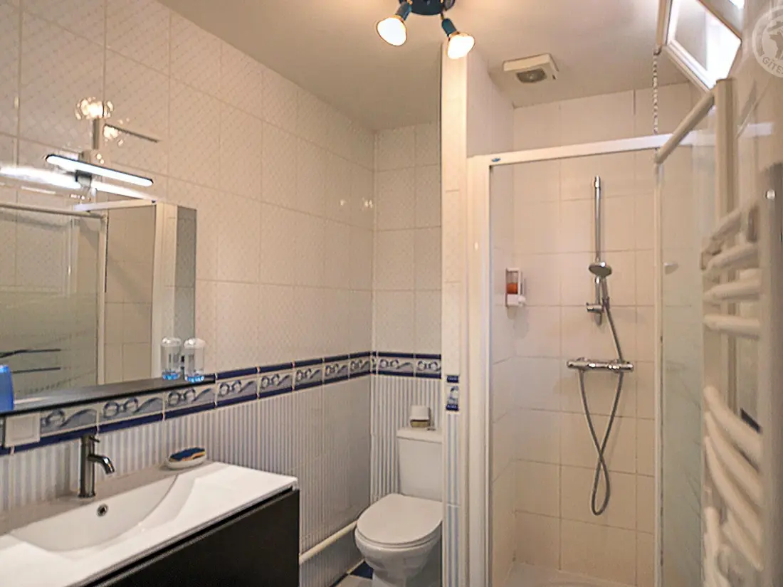 Maison de Vacances Saint-Galmier 4