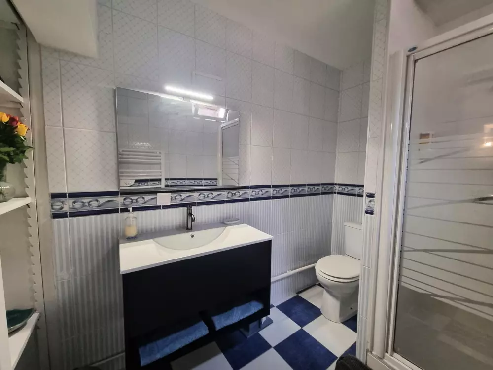 Maison de Vacances Saint-Galmier 4