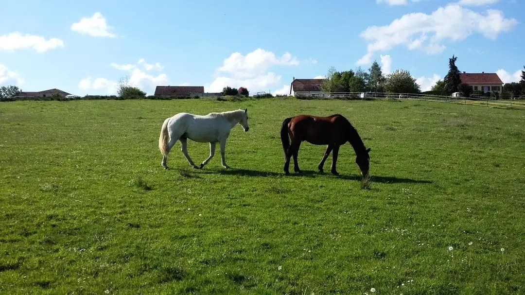 Gîte de France Les petites rivailles 3 épis