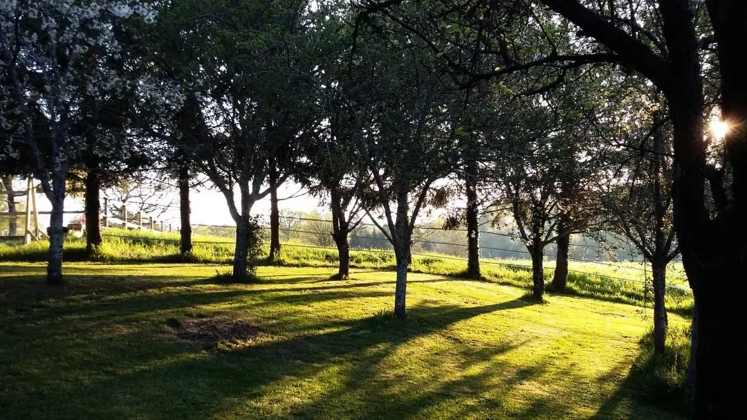 Gîte de France Les petites rivailles 3 épis