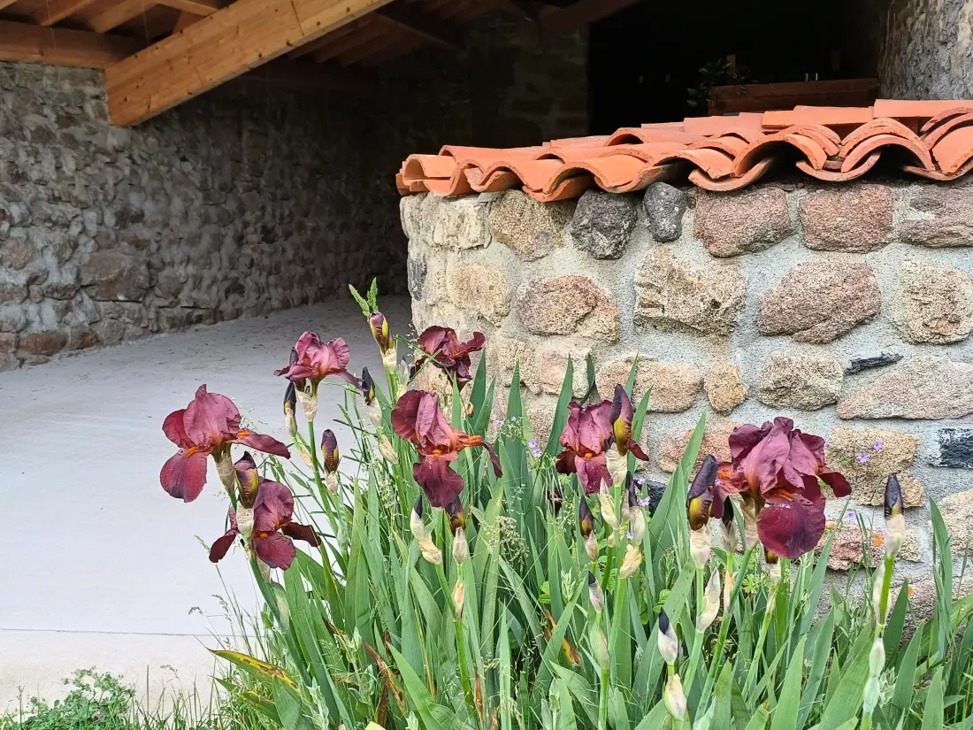 Maison de Vacances Saint-Geneys-prés-Saint-Paulien