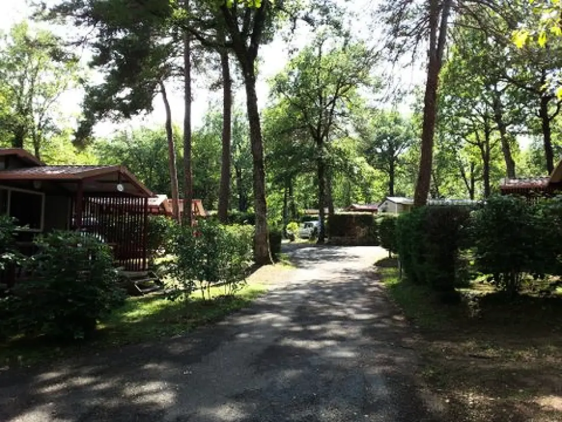 Camping Les Truffières De Dordogne 5 étoiles★★★★★