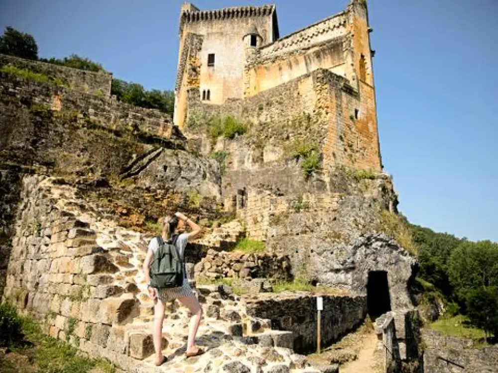 Camping Les Truffières De Dordogne 5 étoiles★★★★★