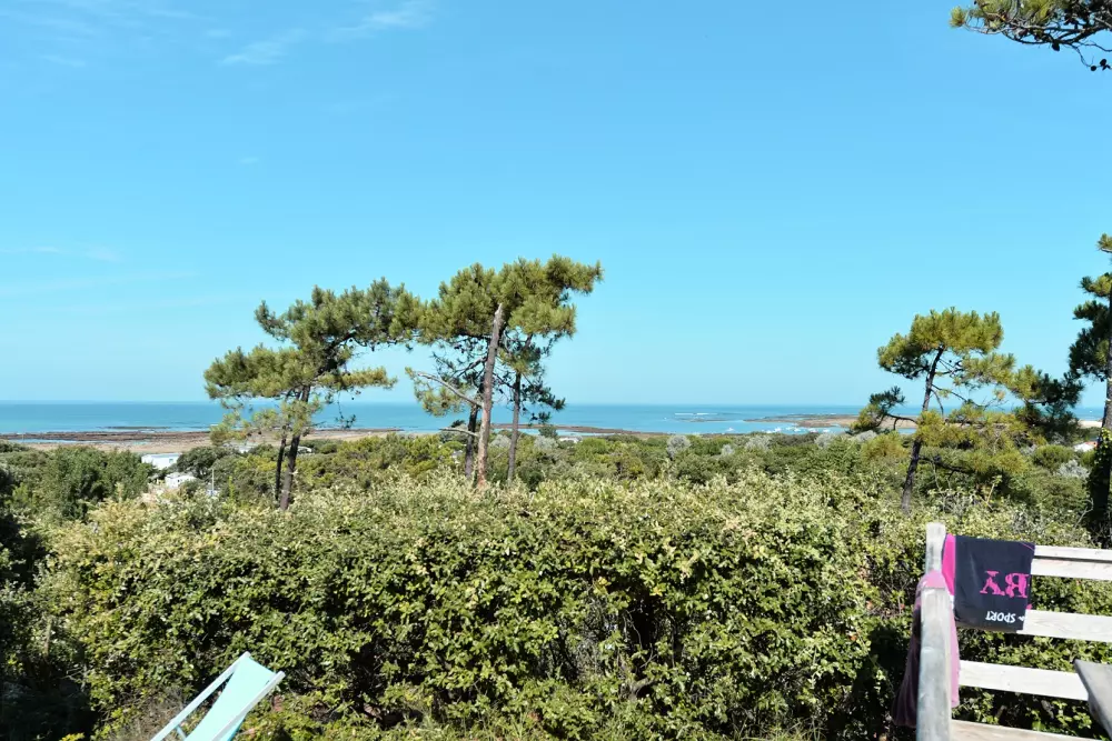 Camping L'Anse des Pins 41 étoiles★ - Plage