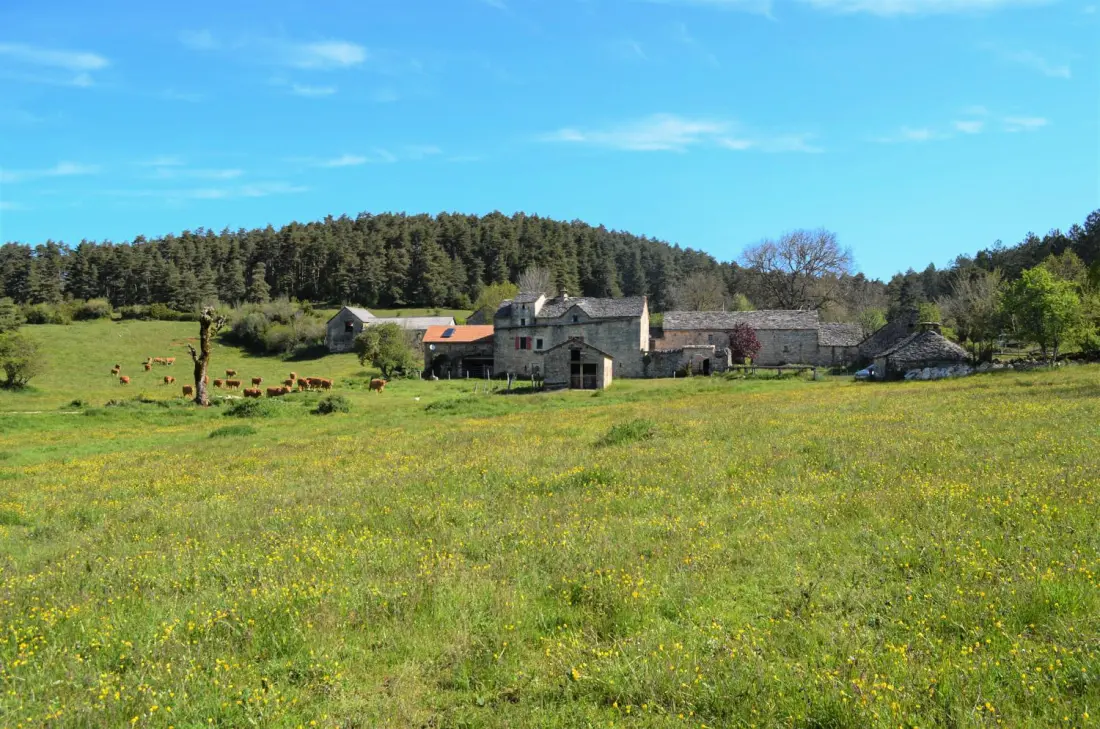 Gîte de France Gîte du gauzinès 3 épis
