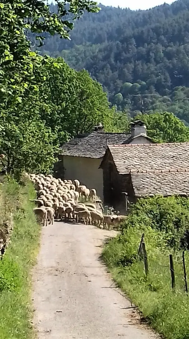 Gîte de France Le gîte du comte 2/3 personnes 3 épis
