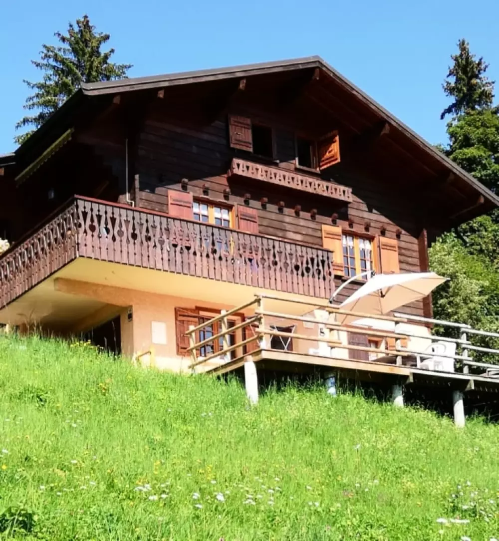 Chalet Face Au Mont-blanc, Calme Et Confort